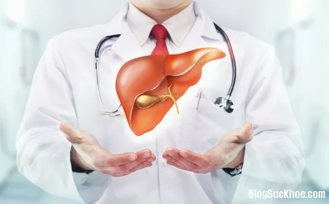 4 bí quyết giúp bảo vệ gan và nội tạng khi uống rượu bia