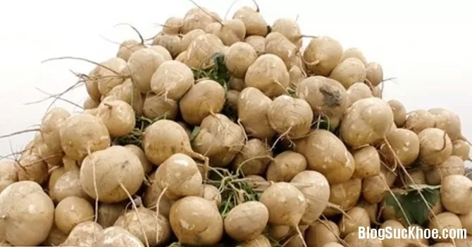 Củ đậu tốt cho sức khỏe như thế nào?