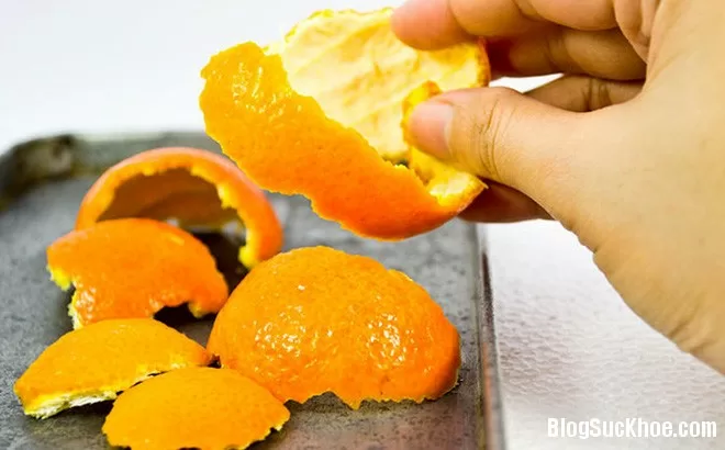 Bỏ túi những mẹo chữa say tàu xe cực hiệu quả