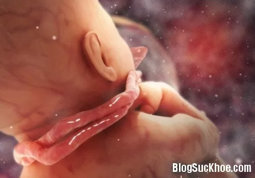 Nguyên nhân khiến mẹ bầu khó ngủ mỗi đêm