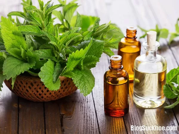 Thảo dược giúp giảm các triệu chứng đau răng
