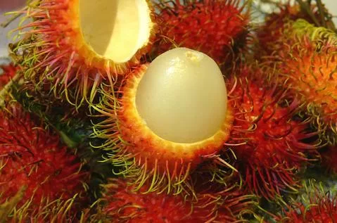 Quả chôm chôm cũng là thuốc quý bạn có biết không?
