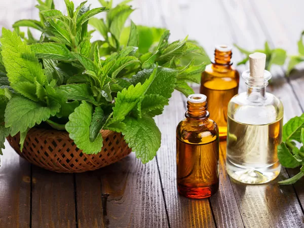 Giảm triệu chứng đau răng với các thảo dược đơn giản