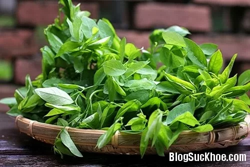 Rau ngót làm thuốc trị sót rau, tưa lưỡi