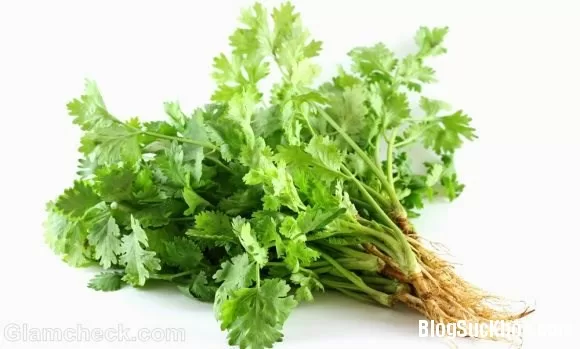 Rau mùi giúp sản phụ sau sinh lợi sữa