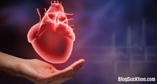 Dấu hiệu cảnh báo bệnh tim ai cũng nên biết