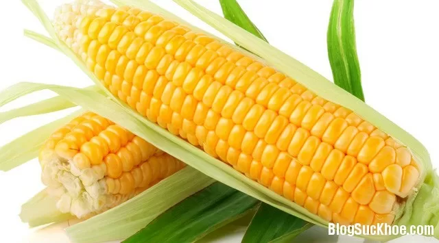 Người bị gan nhiễm mỡ nên ăn gì?