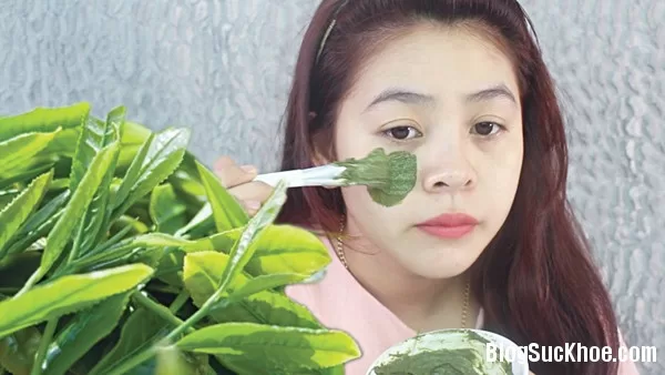 Các loại thảo dược chống nắng cho da