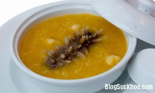 Món ăn bổ thận, tráng dương từ hải sâm