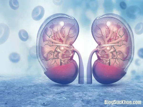 Dấu hiệu âm thầm bệnh ung thư thận bạn không nên bỏ qua