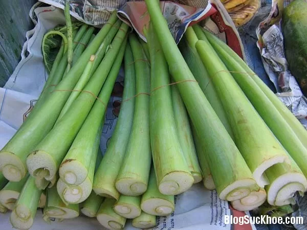 Một số cách dùng dọc mùng trị bệnh