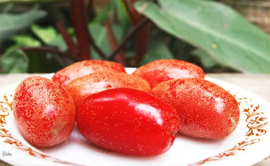 Nhót vào mùa: Lương y sẽ mách bạn cách để tận dụng thật chuẩn để chữa những bệnh này