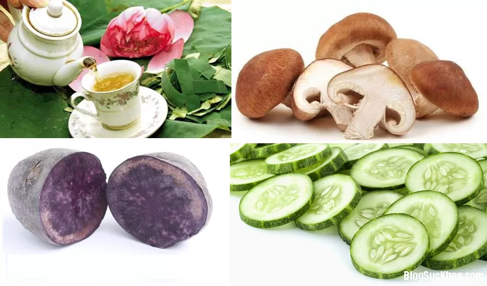 Thực phẩm điều trị béo phì và giảm cholesterol