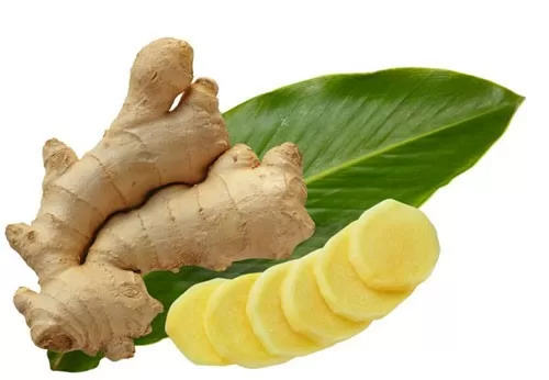 Các vị thuốc chữa đầy bụng, khó tiêu tại nhà