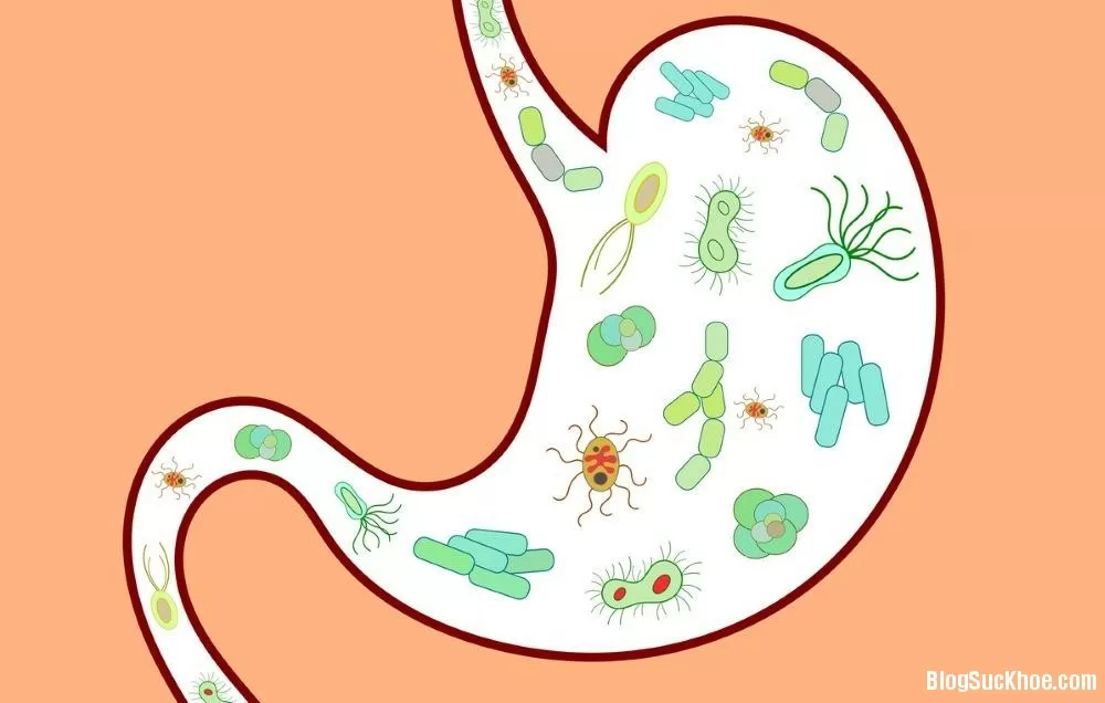 5 tình trạng liên quan đến sức khỏe ruột của bạn