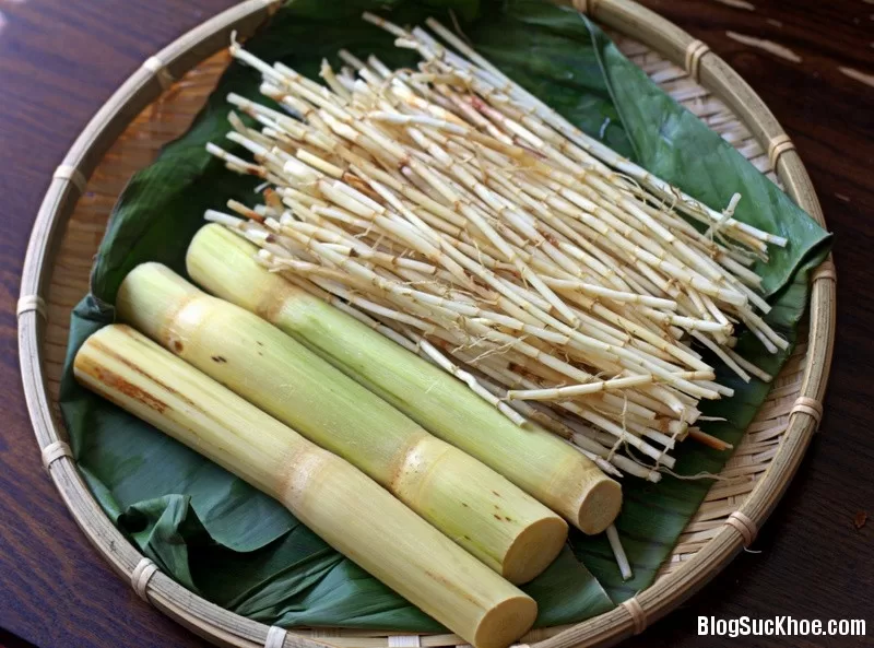3 loại cỏ giúp bạn giải độc, thanh lọc cơ thể an toàn