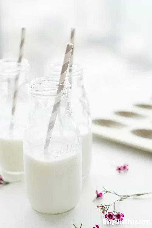 Sử dụng và bảo quản sữa tươi đúng cách
