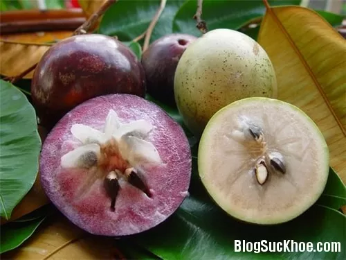 Điều gì cần tránh khi ăn vú sữa?