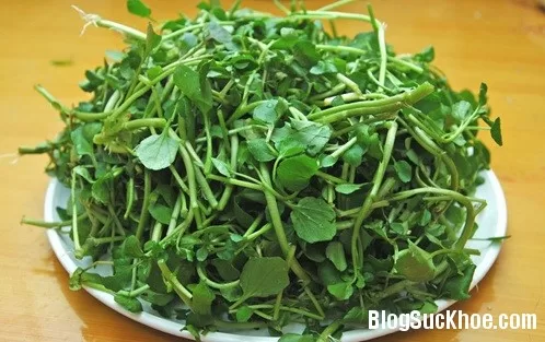 Thực phẩm phòng ngừa bướu cổ