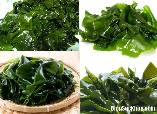 Món ăn thuốc từ rong biển