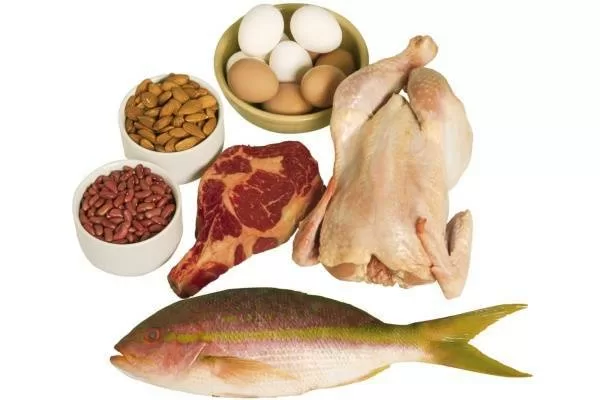Nếu ăn nhiều thực phẩm giàu đạm sẽ khiến chị em khó thụ thai