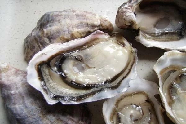 16 loại thực phẩm cực tốt phụ nữ nên ăn trước và trong suốt thai kỳ