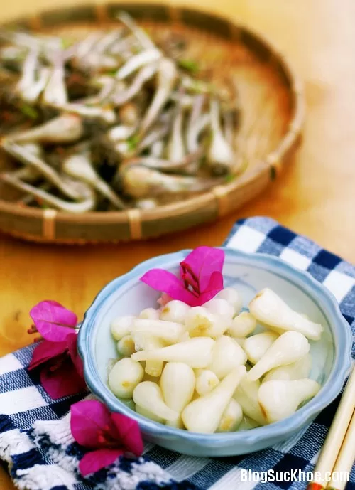 Củ kiệu làm thuốc hỗ trợ điều trị ung thư