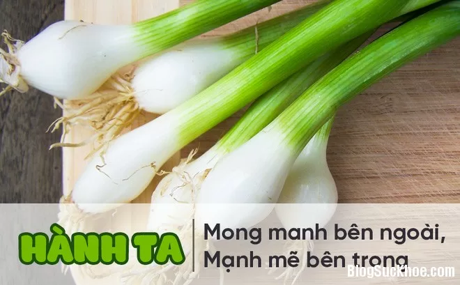 11 loại bệnh chữa khỏi nhờ hành