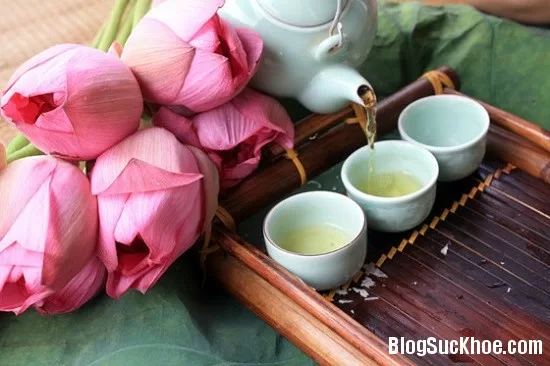 Một số bài trà thanh nhiệt, bổ âm ích khí