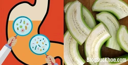 Lý do bạn nên ăn nhiều chuối xanh