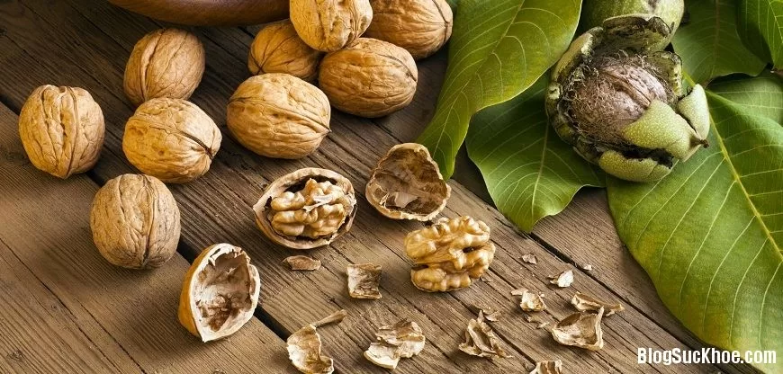 Bài thuốc Đông y từ hồ đào nhục giúp bổ thận tráng dương