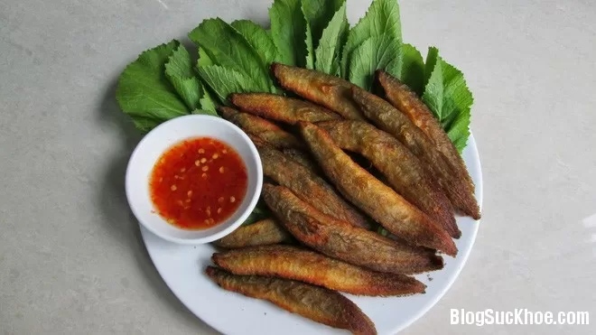 Lý do chạch được xem là "nhân sâm nước"