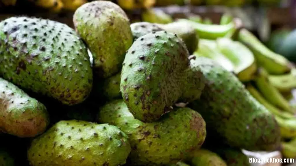 Ai không nên ăn mãng cầu xiêm?
