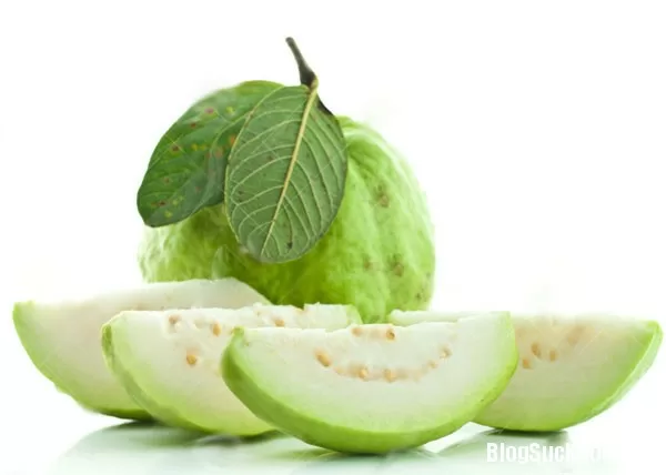 Lợi ích của quả ổi đối với sức khỏe bà bầu