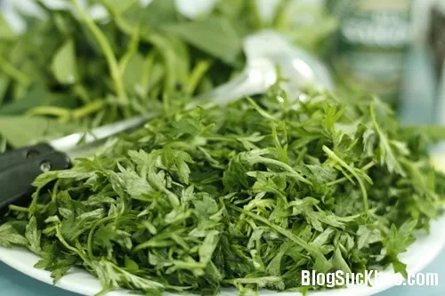 Lưu ý với những tác dụng phụ của rau ngải cứu