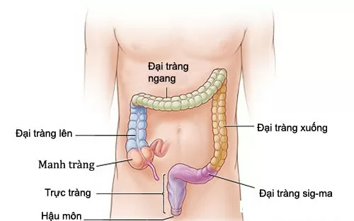 Dấu hiệu nhận biết sớm ung thư trực tràng