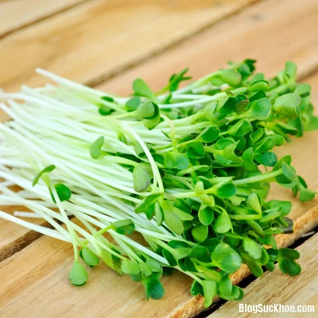 Những lợi ích sức khỏe nếu bạn ăn rau mầm hàng ngày