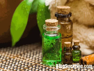 Những công dụng hữu ích mà tinh dầu trà xanh mang lại