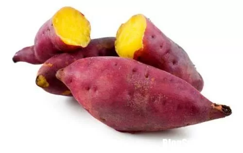 Ăn khoai lang sai cách dễ đi gặp bác sĩ lúc nào chẳng hay