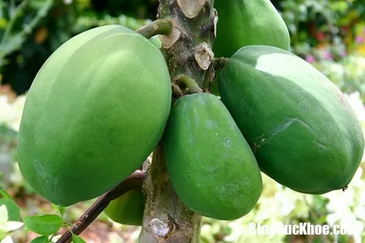 Giai đoạn đầu mang thai mẹ bầu cần tránh xa những thực phẩm này