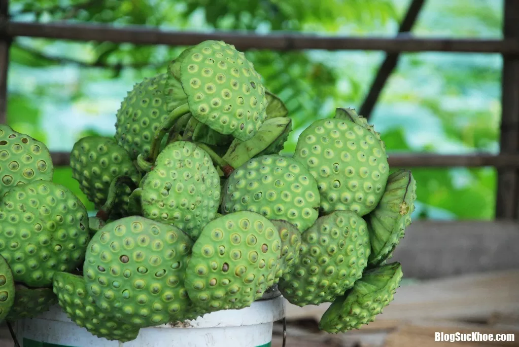 Trị rong kinh đơn giản mà hiệu quả bằng cây thuốc Nam
