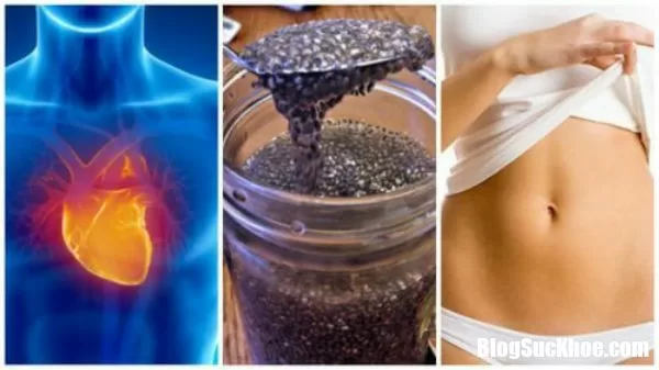 Giảm cân cực hiệu quả với hạt chia