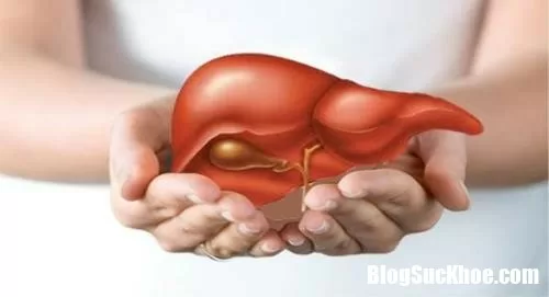 Những nguyên nhân gây tăng men gan