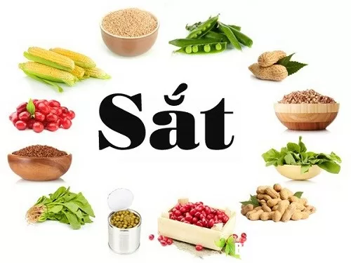 Cách phòng chống và chữa bệnh thiếu máu