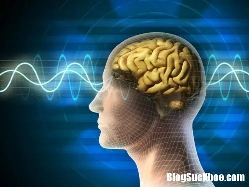 Thường xuyên ăn tối muộn sẽ dẫn đến nguy cơ bị nhồi máu cơ tim và tiểu đường