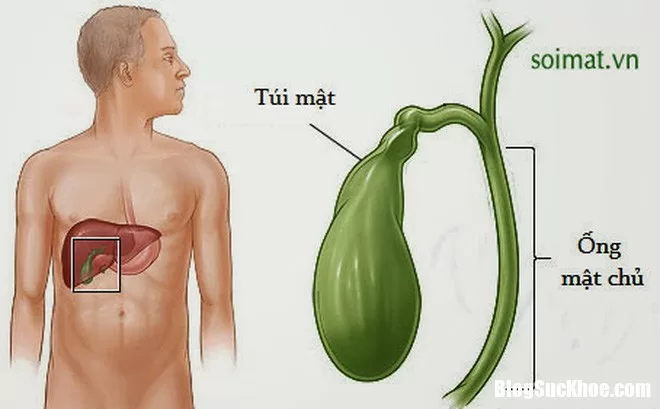 Những dấu hiệu kín đáo báo hiệu bệnh ung thư túi mật