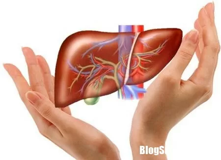 Nhìn vào men gan sẽ biết tình trạng sức khỏe của cơ thể