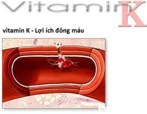 Trẻ thiếu vitamin K dễ bị xuất huyết não