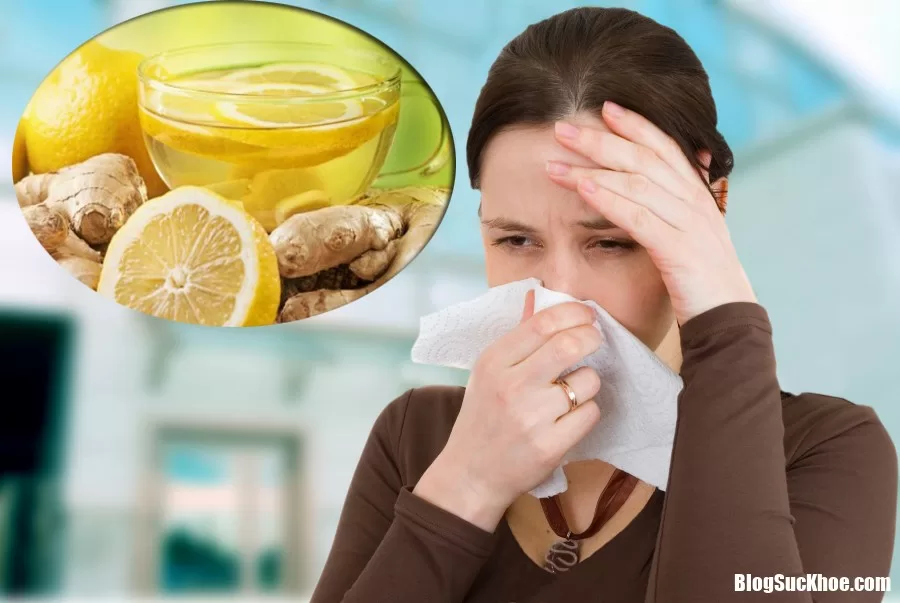 Nên ăn gì để phòng tránh dịch cúm vào mùa thu