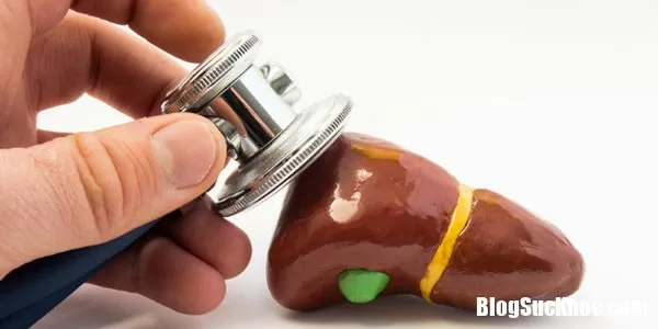 Nguyên nhân và cách điều trị men gan tăng cao